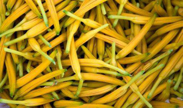 �ƻ��˵Ĺ�Ч������ �ƻ��˵�ʳ��ע������